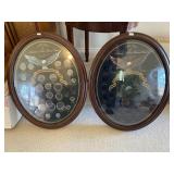 Americans Most Famous Coins Display Cases 22x16