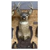 Deer Mount