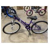 Road Master Granite Peak 24 Inch Bicycle 6 Speed