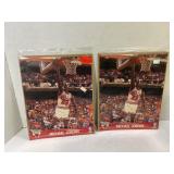 746.  Lot of (4) Michael Jordan NBA Action Photos