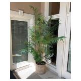 LARGE ARTIFICIAL PLANT WITH PLANTER - 6' TALL