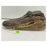 TAXIDERMY CROCODILE HEAD - AROUND 8" LONG