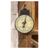 Morn inï¿½ call poultry grains, 60 pound scale
