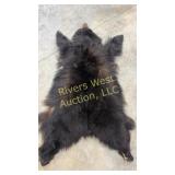 Tanned bear hide approximately 62ï¿½ long