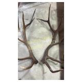 Set of elks sheds, (repaired) tips re-sculpted