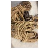 Assortment of ropes and pulleys