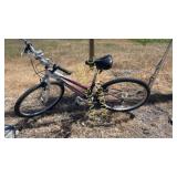 Twin Mountain bike 21 speed Womens bike