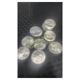Twenty 2009 American Eagle silver dollars