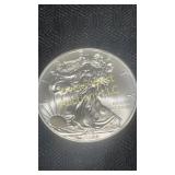 2009 American Eagle silver dollar