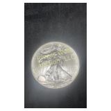 2009 American Eagle silver dollar