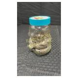 Jar full of 170 half dollars