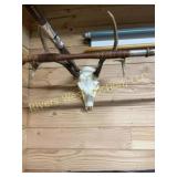Small white tail Euro mount. 10 1/2ï¿½