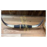 Mounted long horns