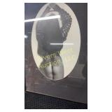 Framed Cher artwork