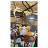 Mule deer plaque mount with. 24 1/2'