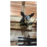 Vintage taxidermy Boar head