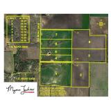 11 Acres, Texas Land for Sale, Lamar County, Petty