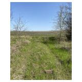 45ac Texas Farmland Acreage near Paris_Horse