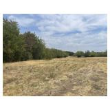 12 Acre Property - Fannin County TX