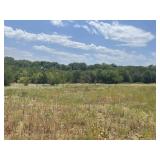 23 Acre Property - Fannin County