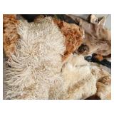 Skins & Rugs; Deer, Elk, Sheep, Goat, Fox, Cowhide