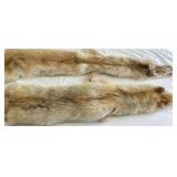 Two Natural Tan Brown Coyote Fur Pelts