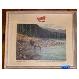 Great Falls Select Fine Beer