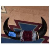 Buffalo Horn Decor
