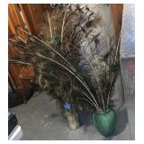 Peacock Feather & Vases