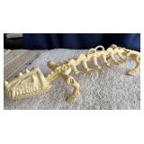 1984 Dinosaur Skeleton