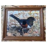 Photograph of Eastern Towhee