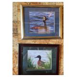 Waterfowl Photographs