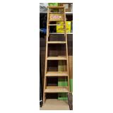 Werner Ladder