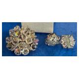 Brooch & Earrings Set