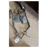 Horse Tack
