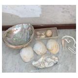 Sea Shells
