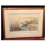 Waterfowl Print