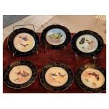 Antique Porcelain Plates