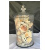Sea Shells Enclosed in a large glass jar