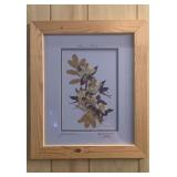 Montana Naturally Botanical Creation