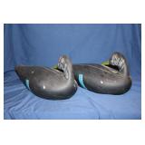 Pair of oversized sleeping blackduck decoys by