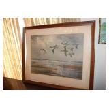 Picture of flying widgeon by J.C. Harrison