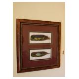 Framed picture of fish painted on feathers Costa