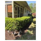 Tin rooster yard decoration, shepherd hook and