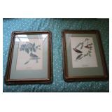 2 Framed lithograph bird prints