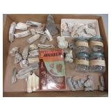 Collection of Fossils