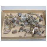 Petrified Wood and Collected Rocks