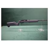 Ruger 10-22 w/MAGPUL Stock