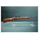 Ruger 10-22, 22 LR