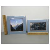 Two Matted Decorator Art Pictures
